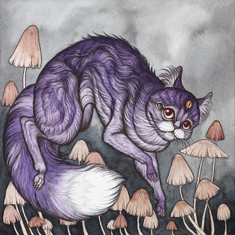 The Mad Ones by Caitlin Hackett