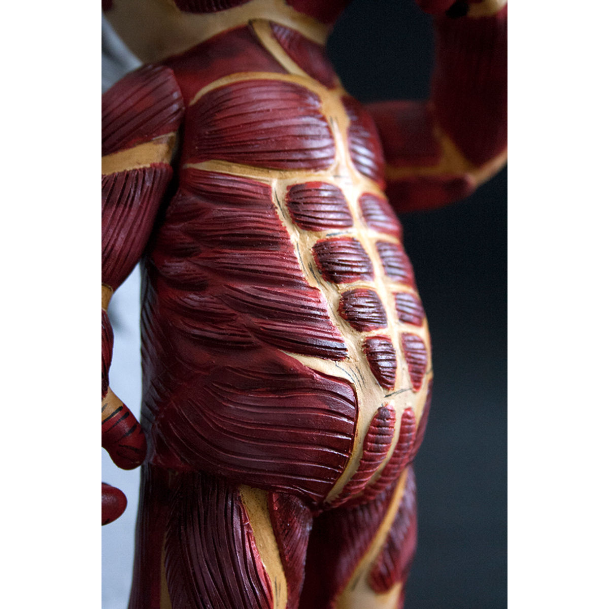 COLOSSAL TITAN TARGET