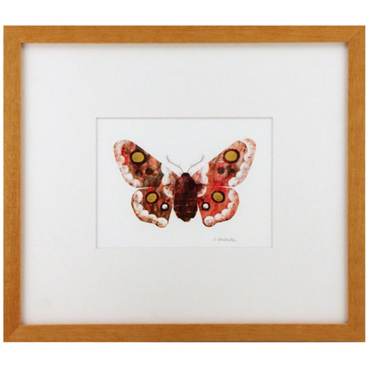 BUTTERFLY by Chris Sasaki
