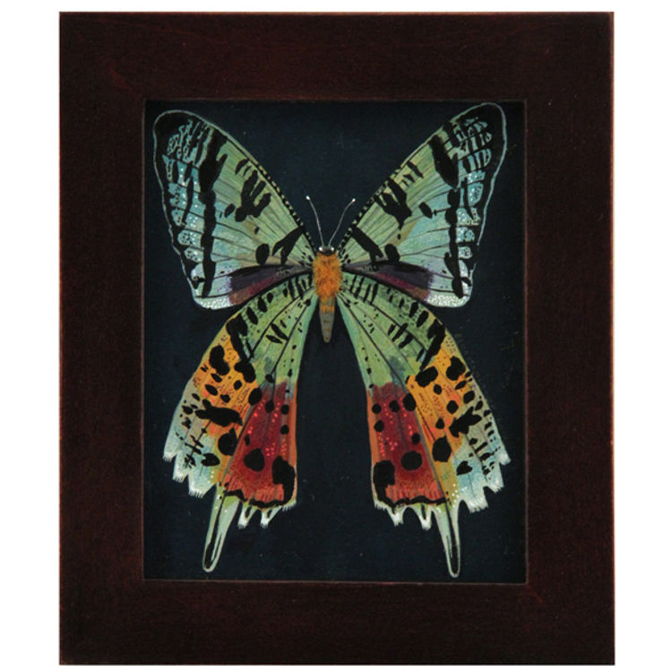 RAINBOW MOTH by Becca Stadtlander