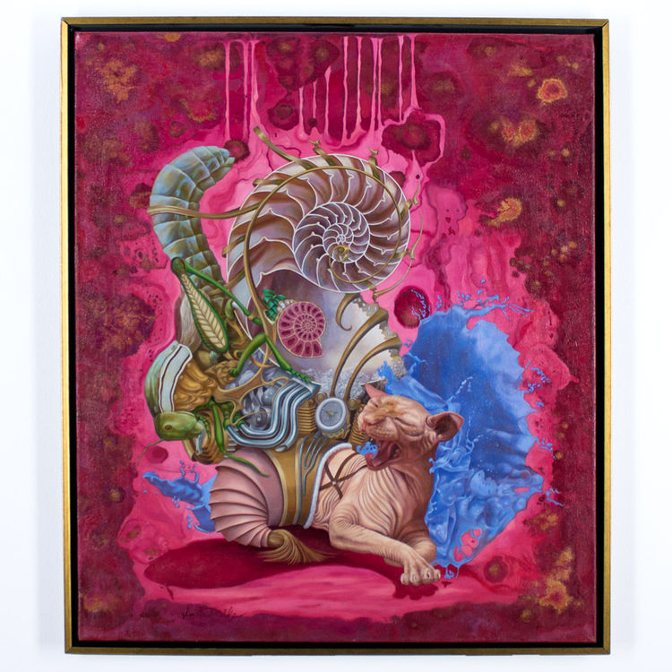 Preparing To Moult by Heidi Taillefer