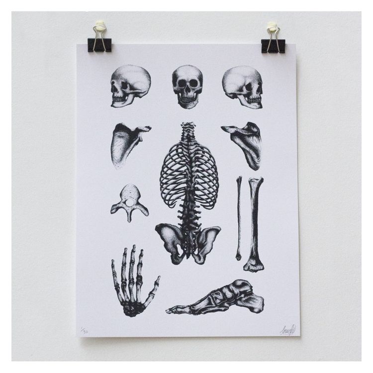Bones Plate by LOUIS LPS