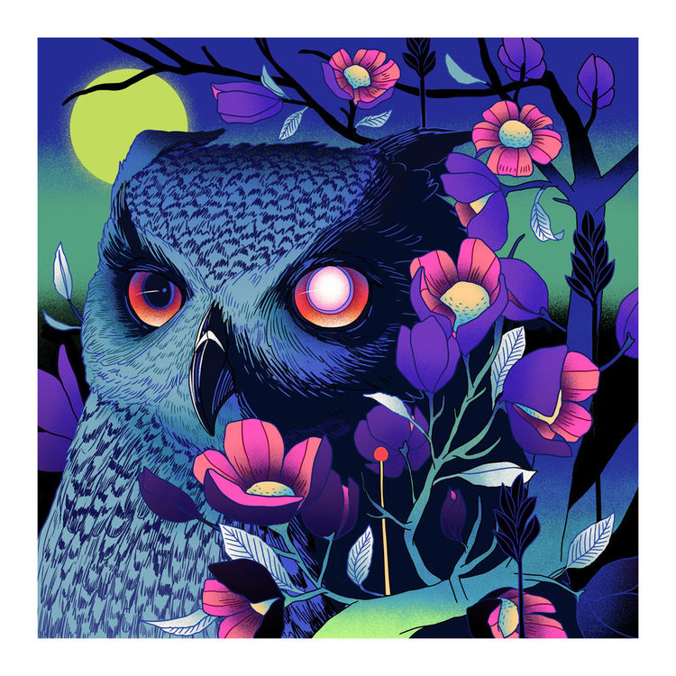 Do You Like Our Owl? - Print by Julia Sonmi Heglund