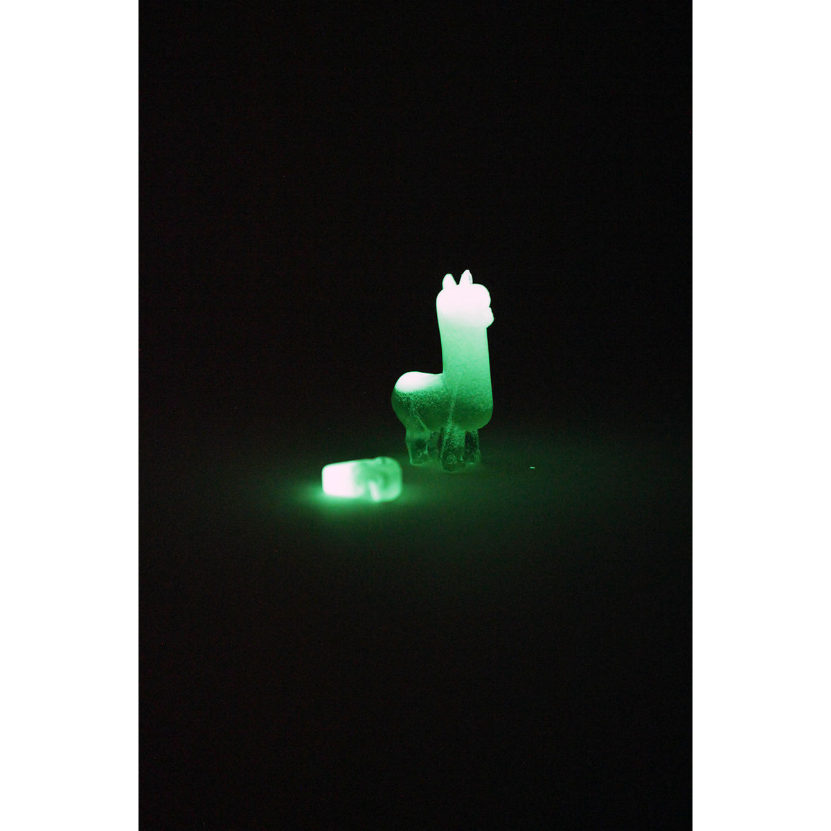 Alpaca (Black/Glow)