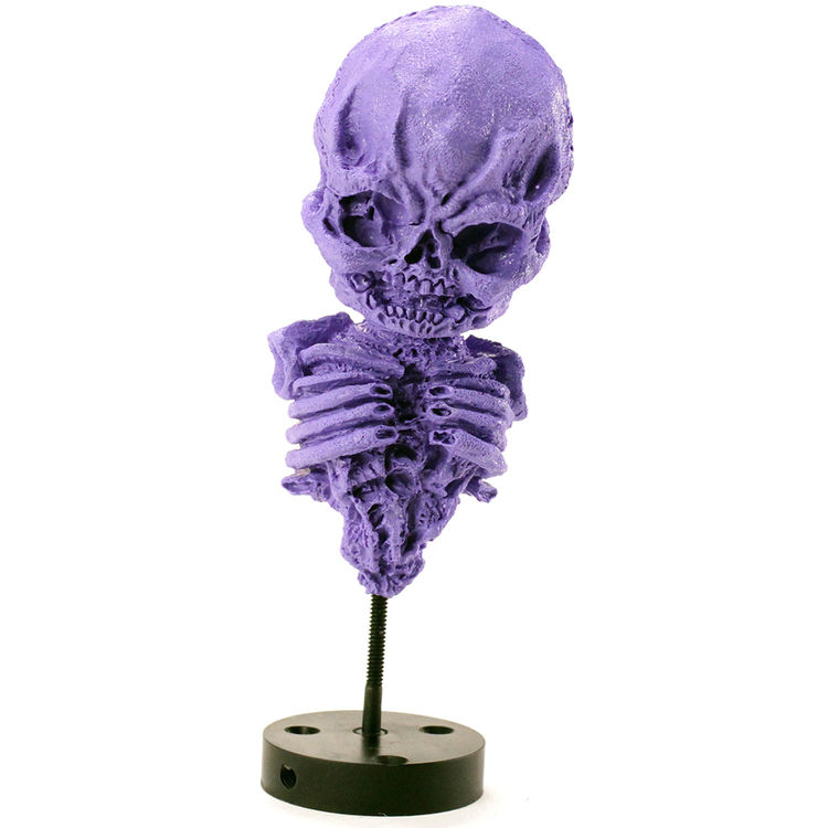 Rebirth Skeleton II (Purple) by Scott Wilkowski