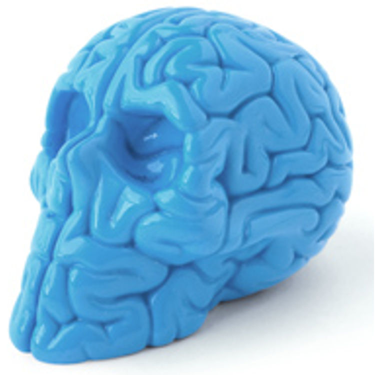 Mini Skull Brain Blue Edition by Emilio Garcia
