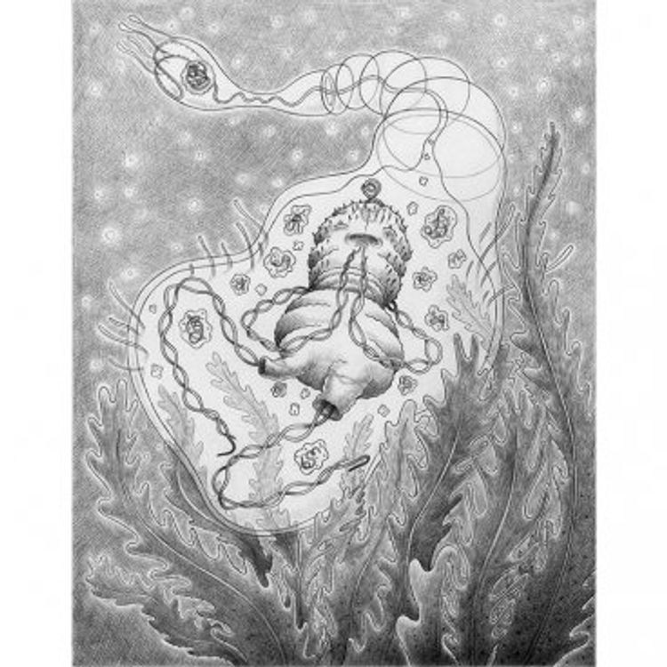 JONAH AND THE WHALE SKETCH by Nathan Jurevicius