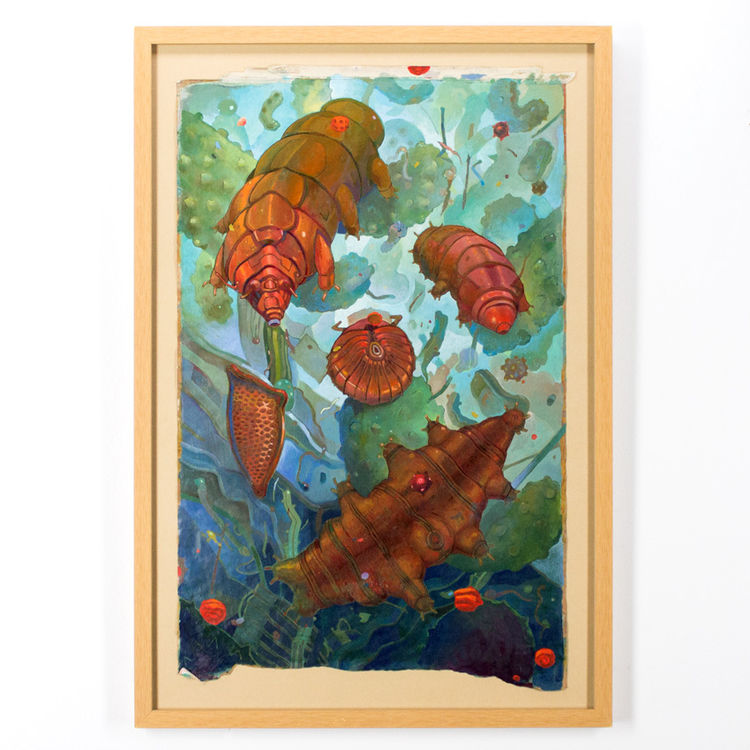 Tardigrades by Jesus Benitez