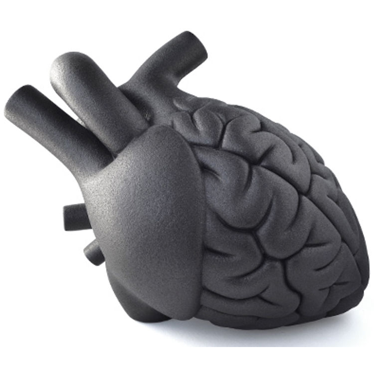 Brainheart - Graphite by Emilio Garcia