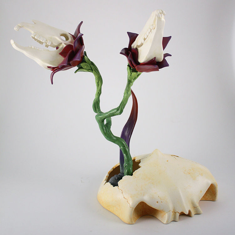 Double Hungriness (Zebra Bloom 2) by Andrew Bell