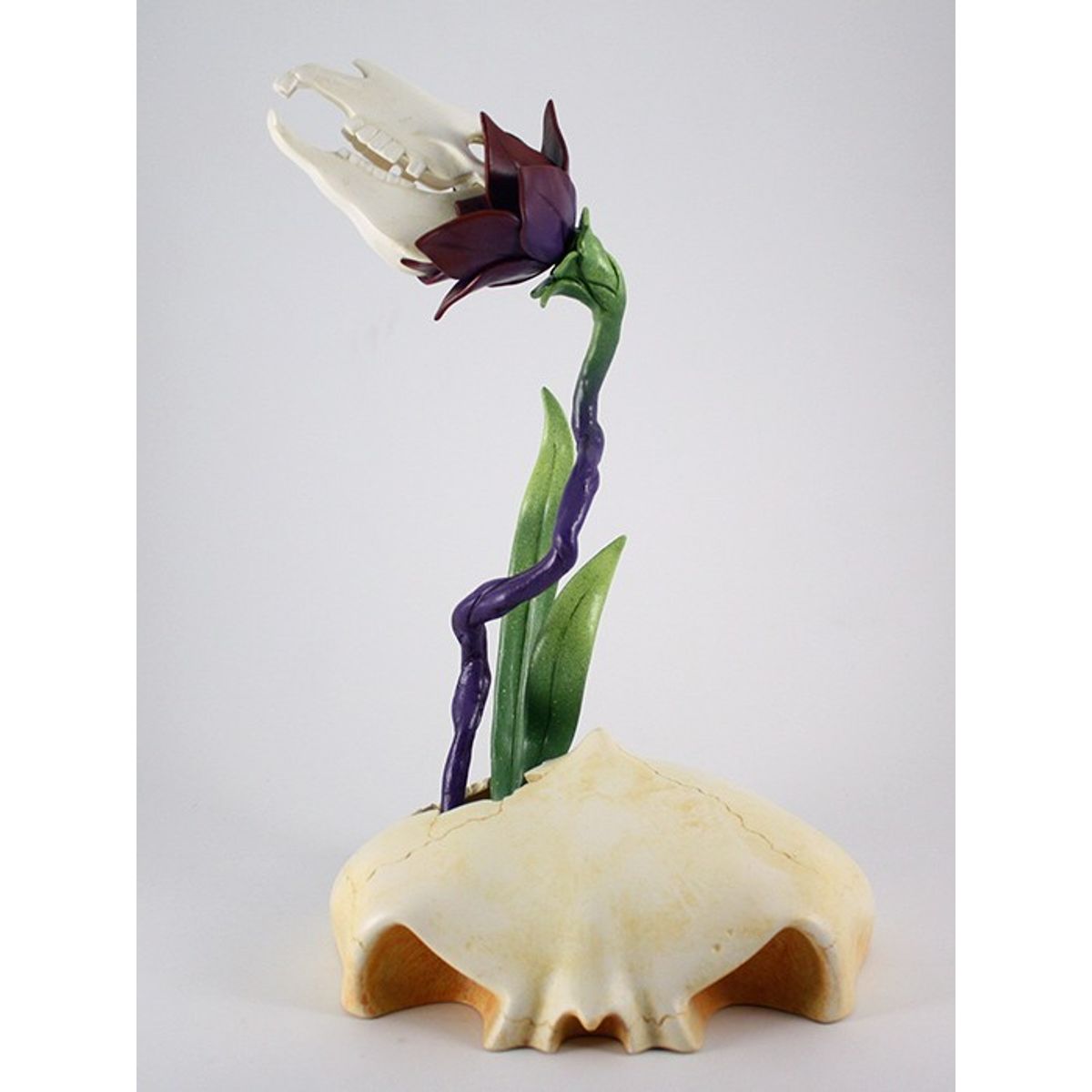 Shades of Night (Zebra Bloom 3)