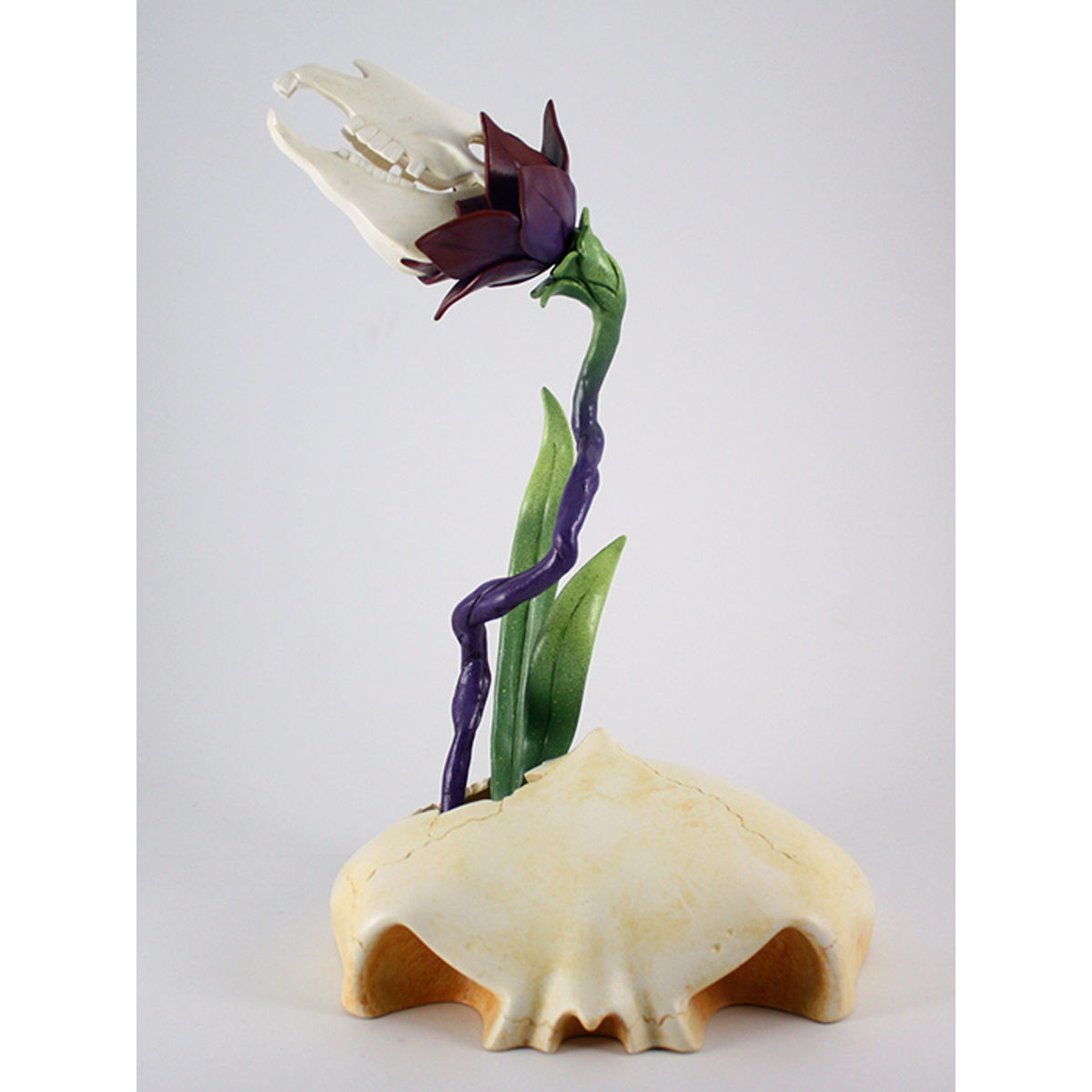 Shades of Night (Zebra Bloom 3)