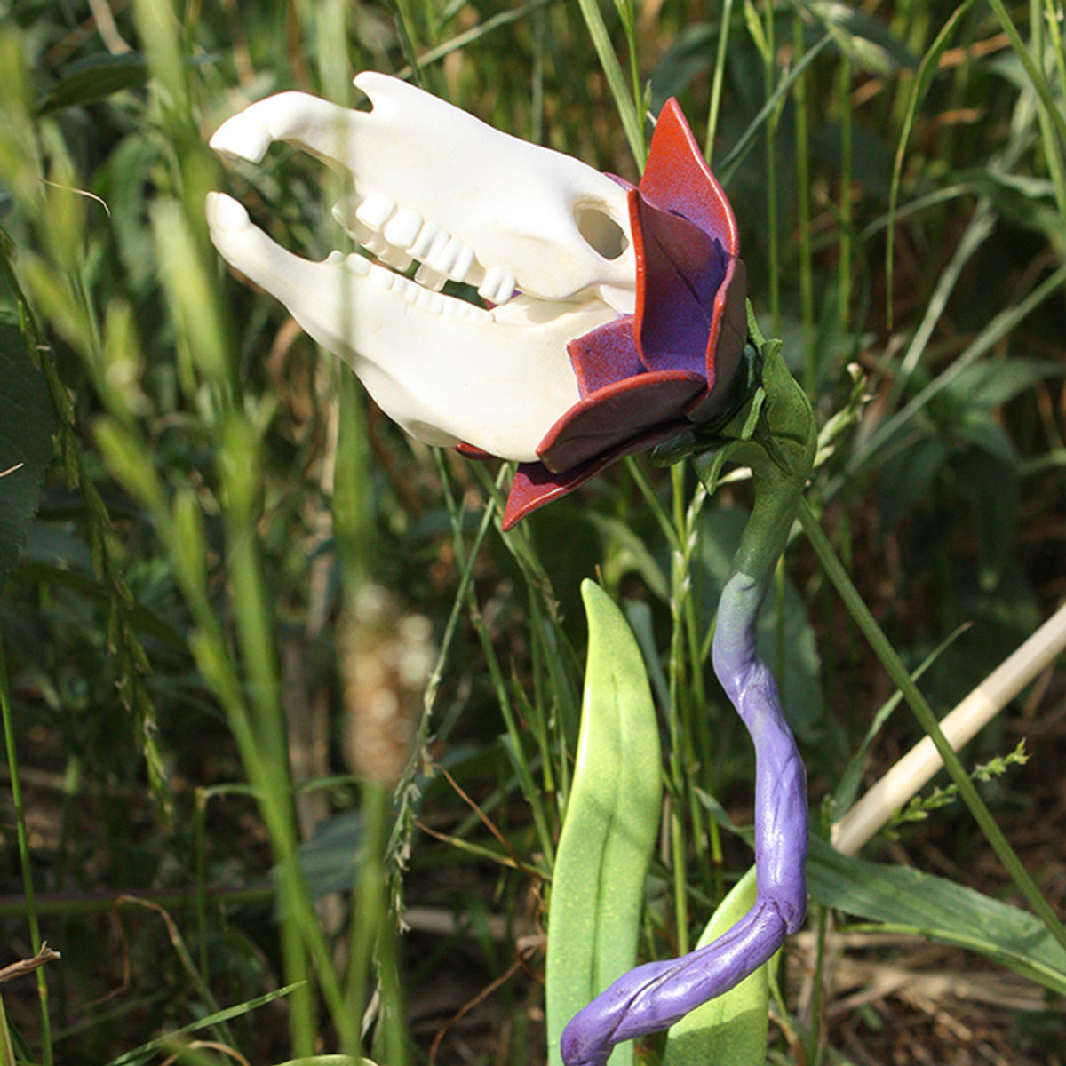 Shades of Night (Zebra Bloom 3)