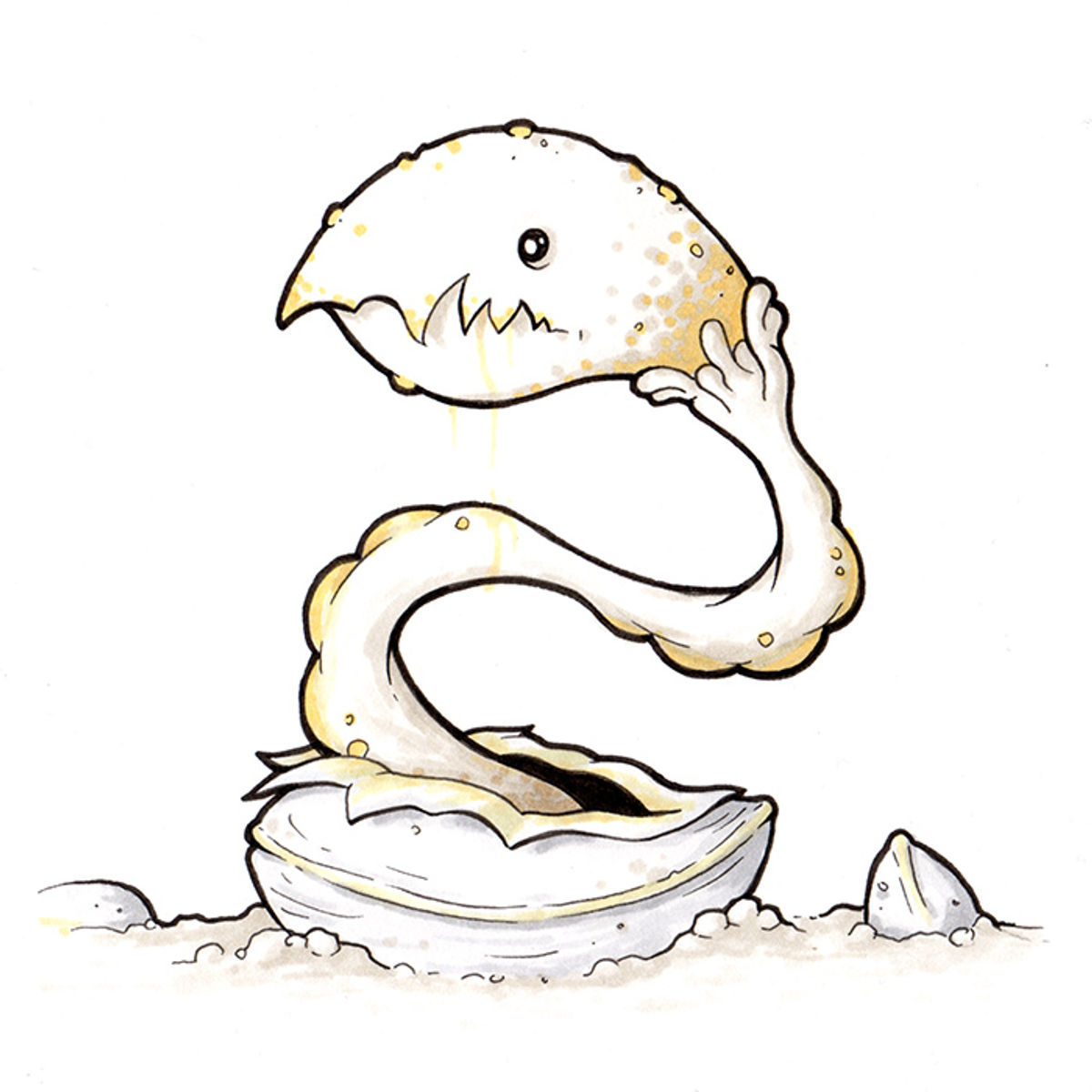 don’t start what you can’t finish