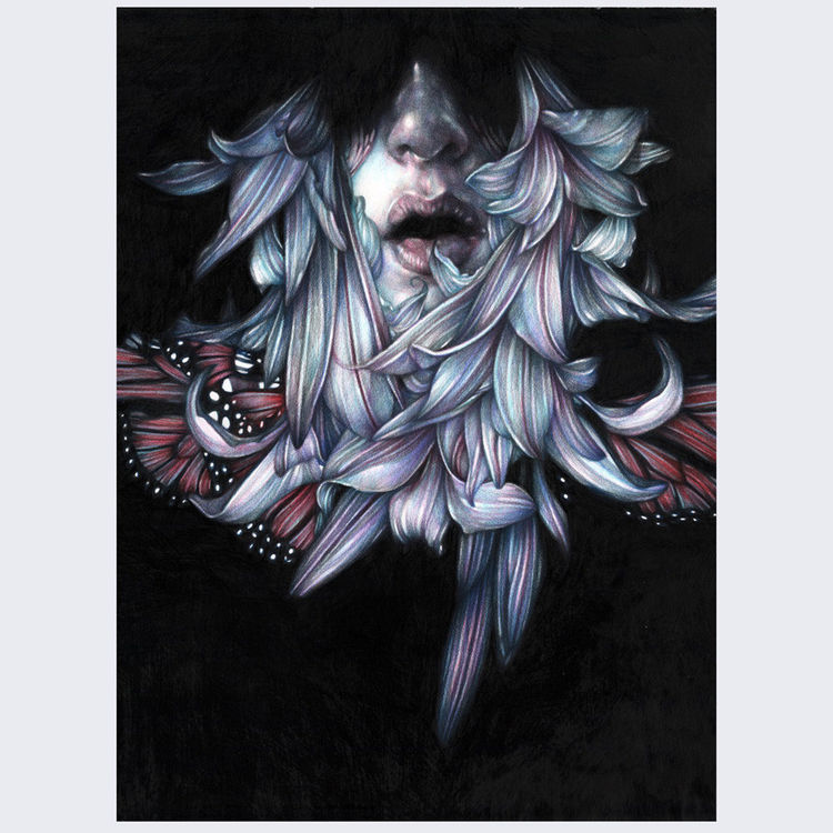 Soft Beard by Marco Mazzoni