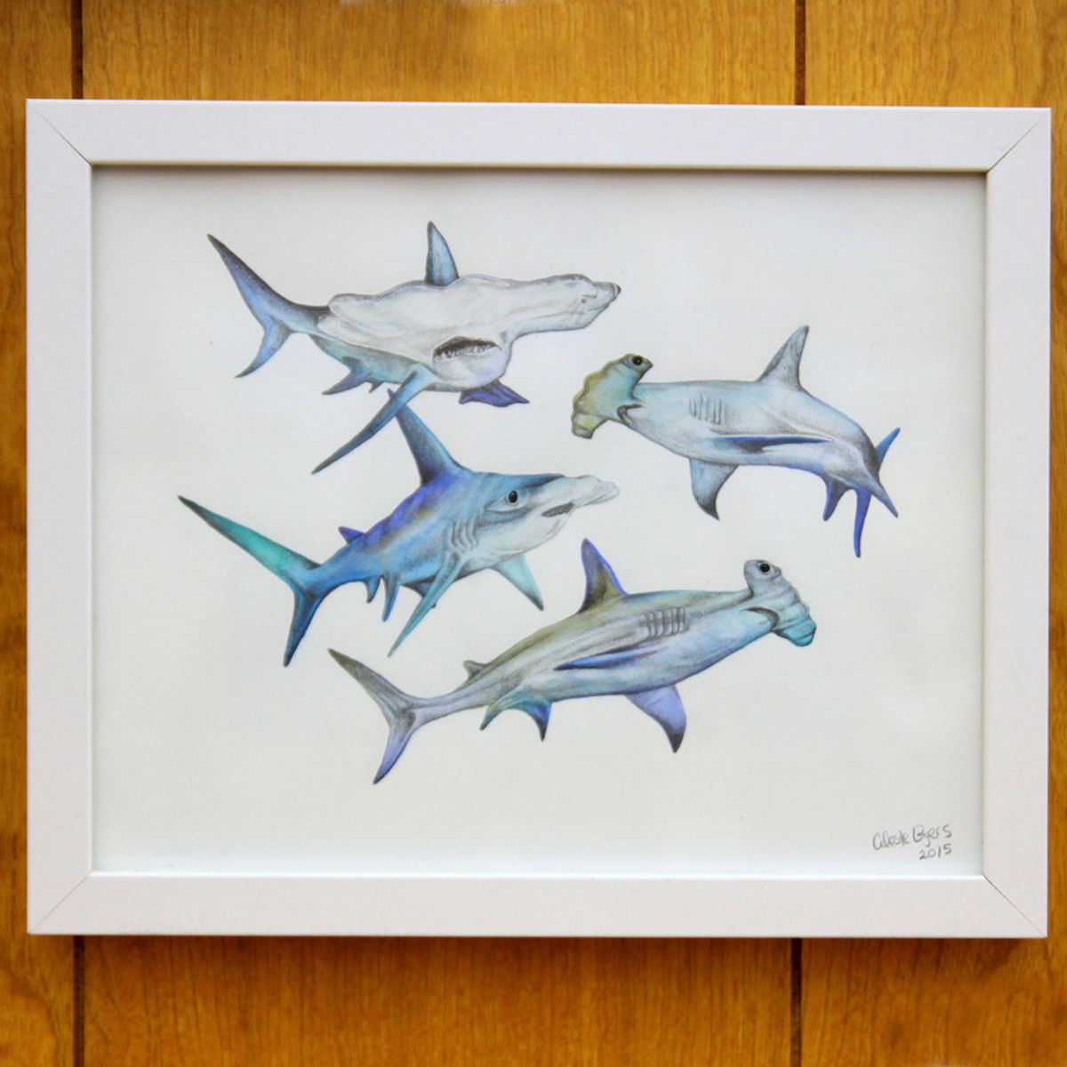 Hammerhead Sharks