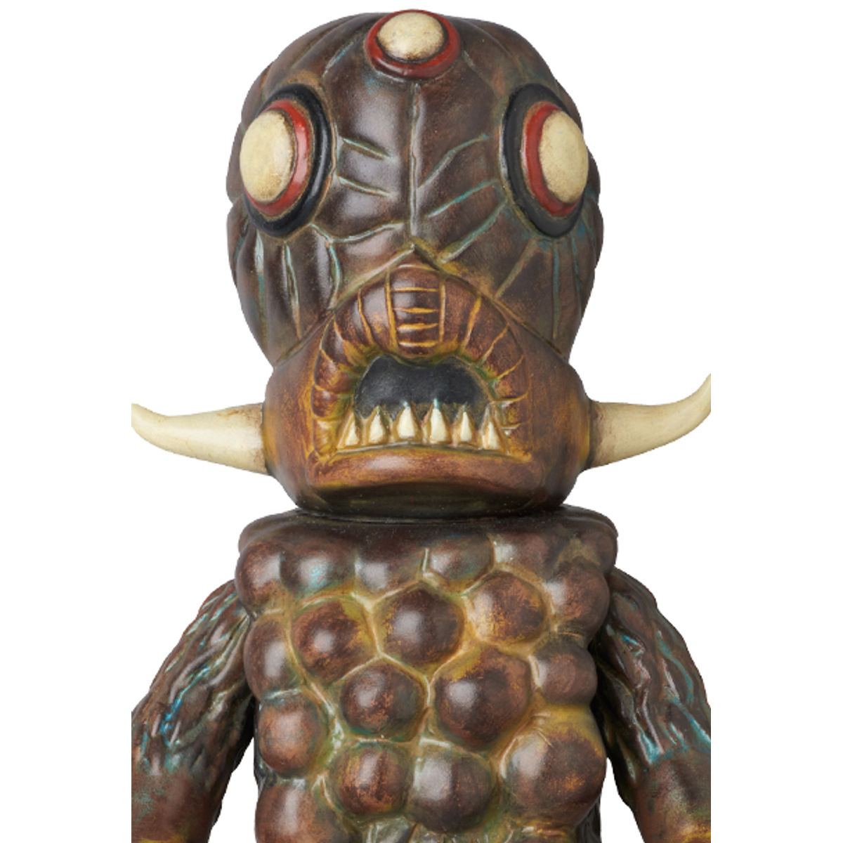 Shigunarion (Native color)