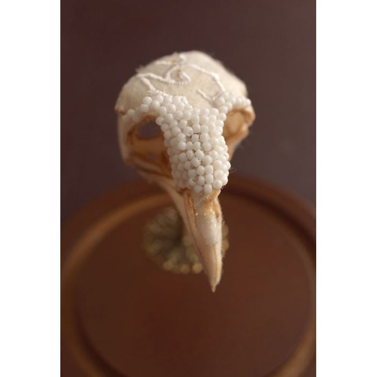 Bone China No. 2 by Lana Crooks