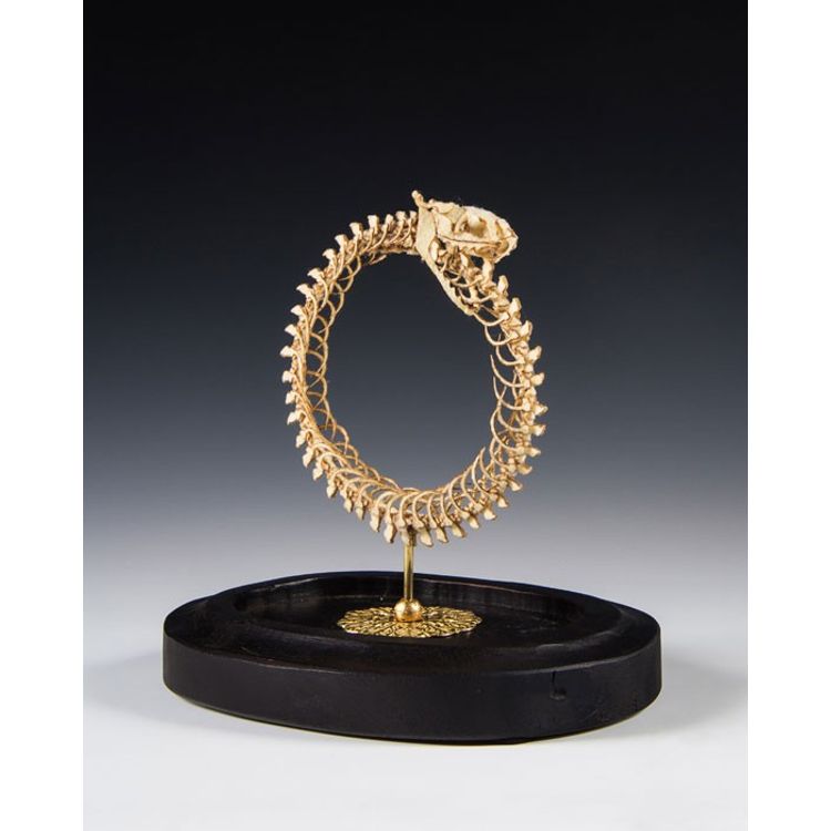 Ouroboros by Lana Crooks