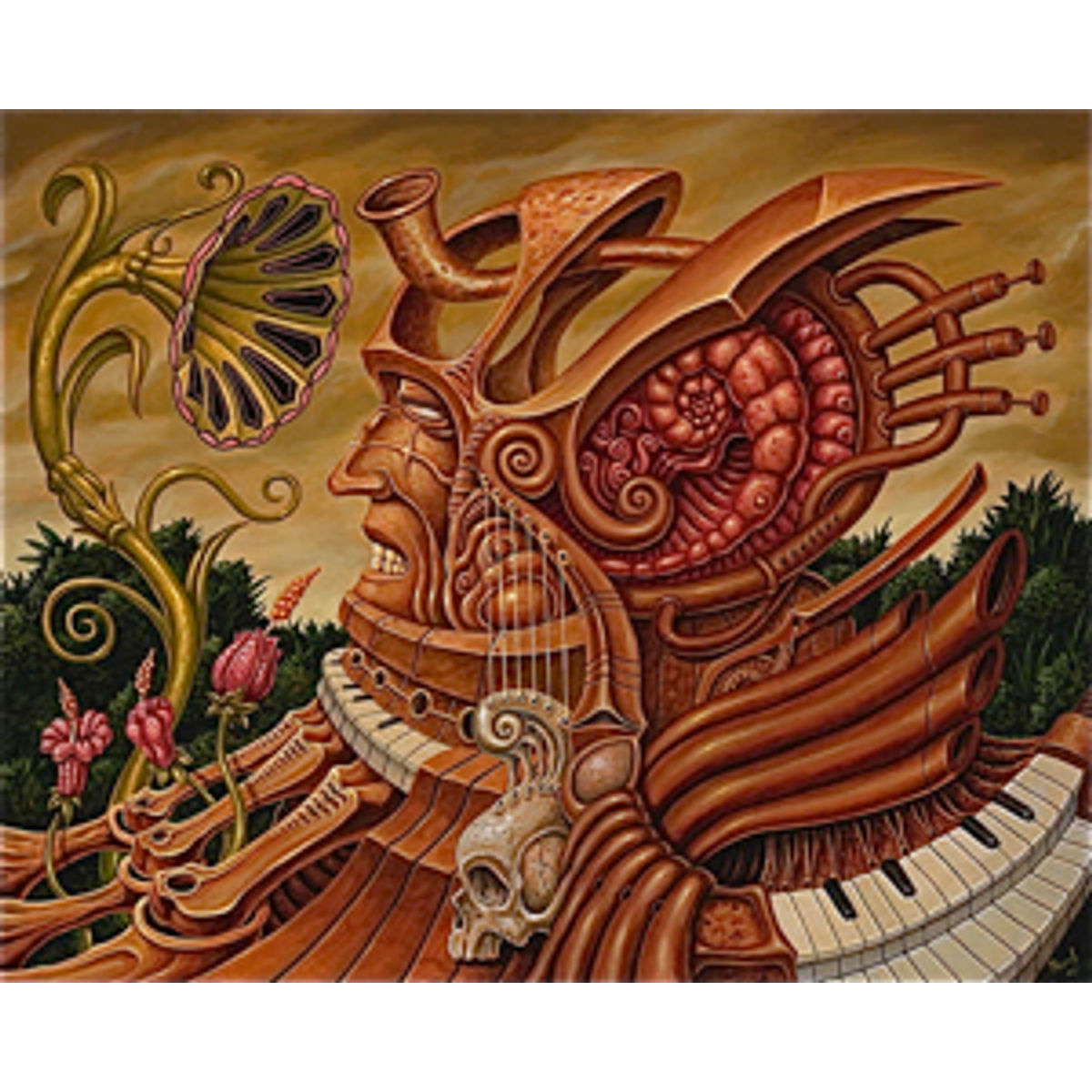 Memo's Ethonbotanical Experiment #5