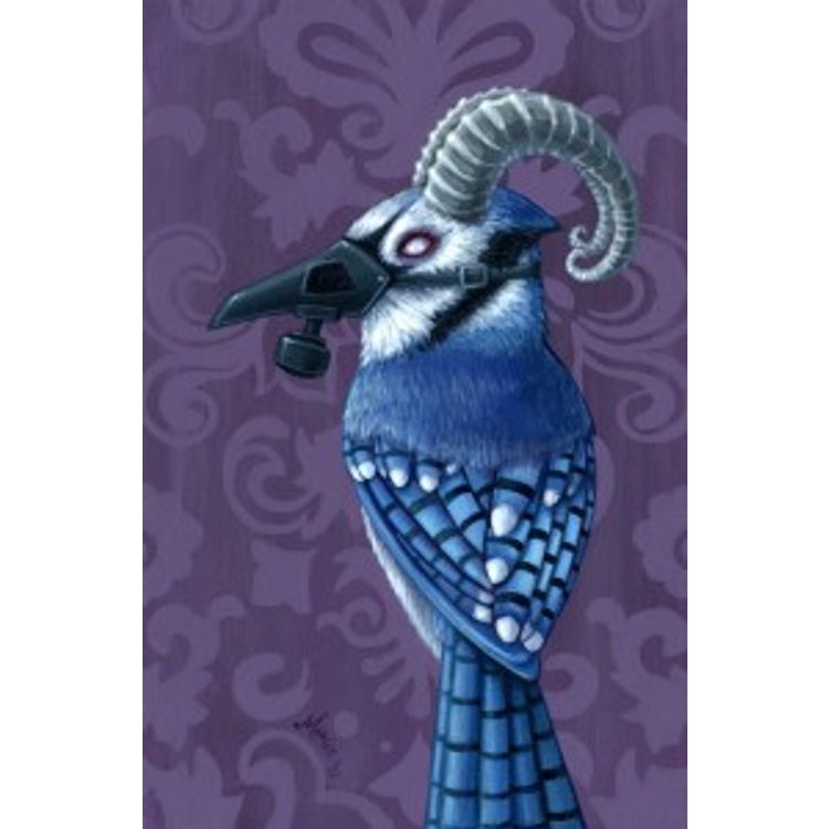 Mountain Jay by Megan Majewski