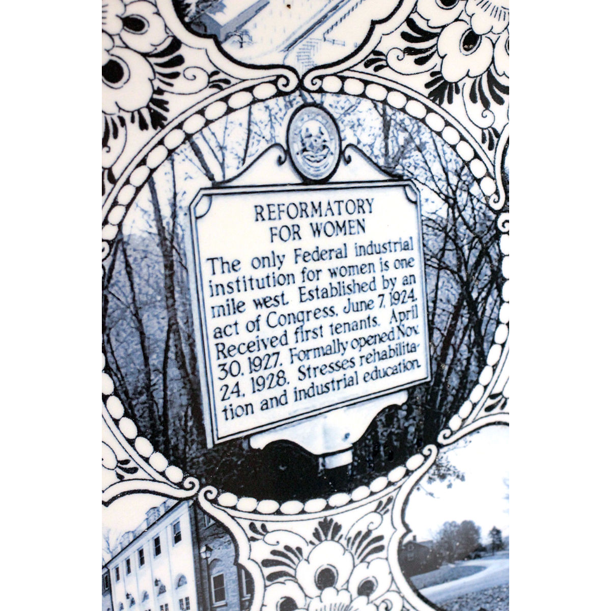 Martha Stewart Penitentiary Plate