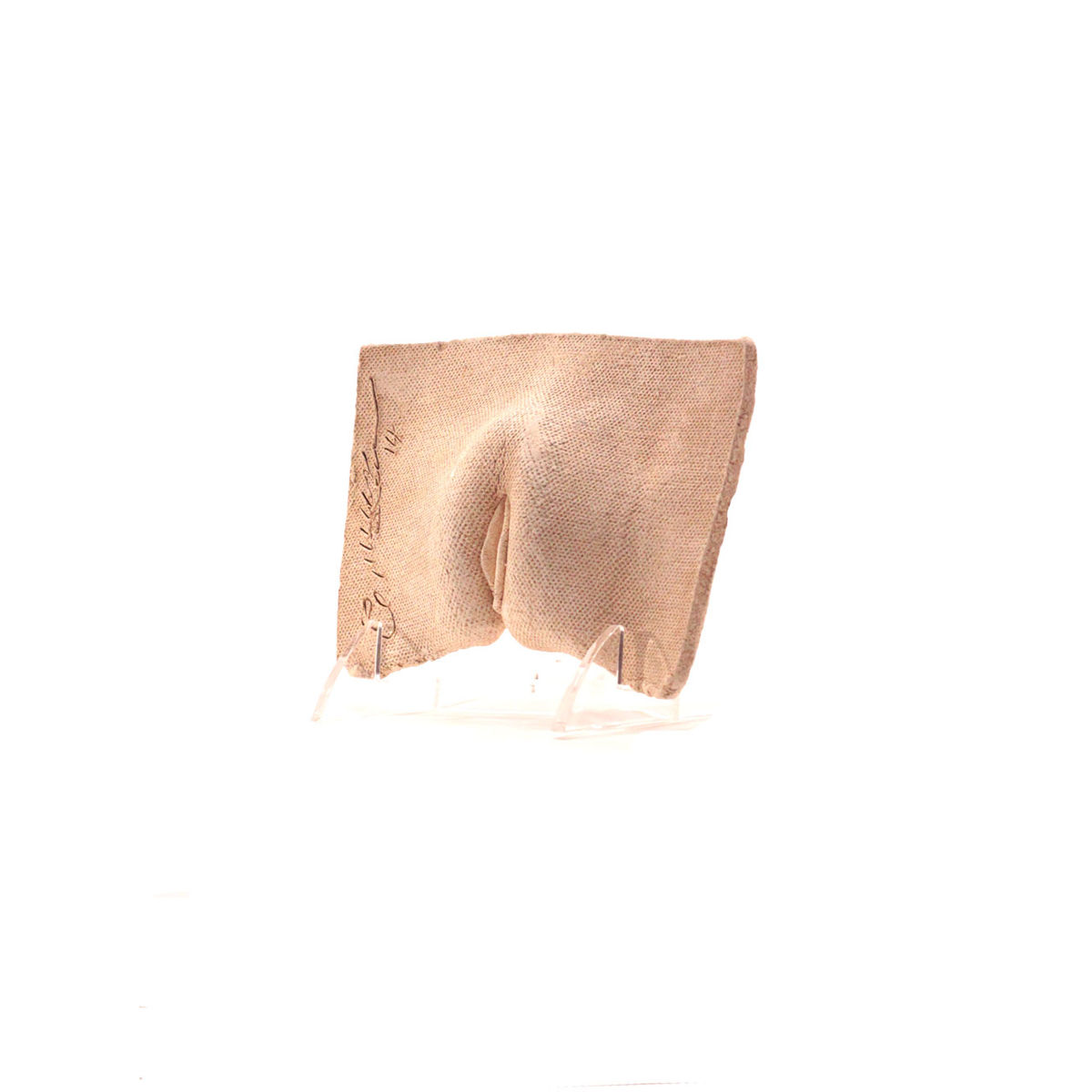 Fang’s Dad's Vulva #1