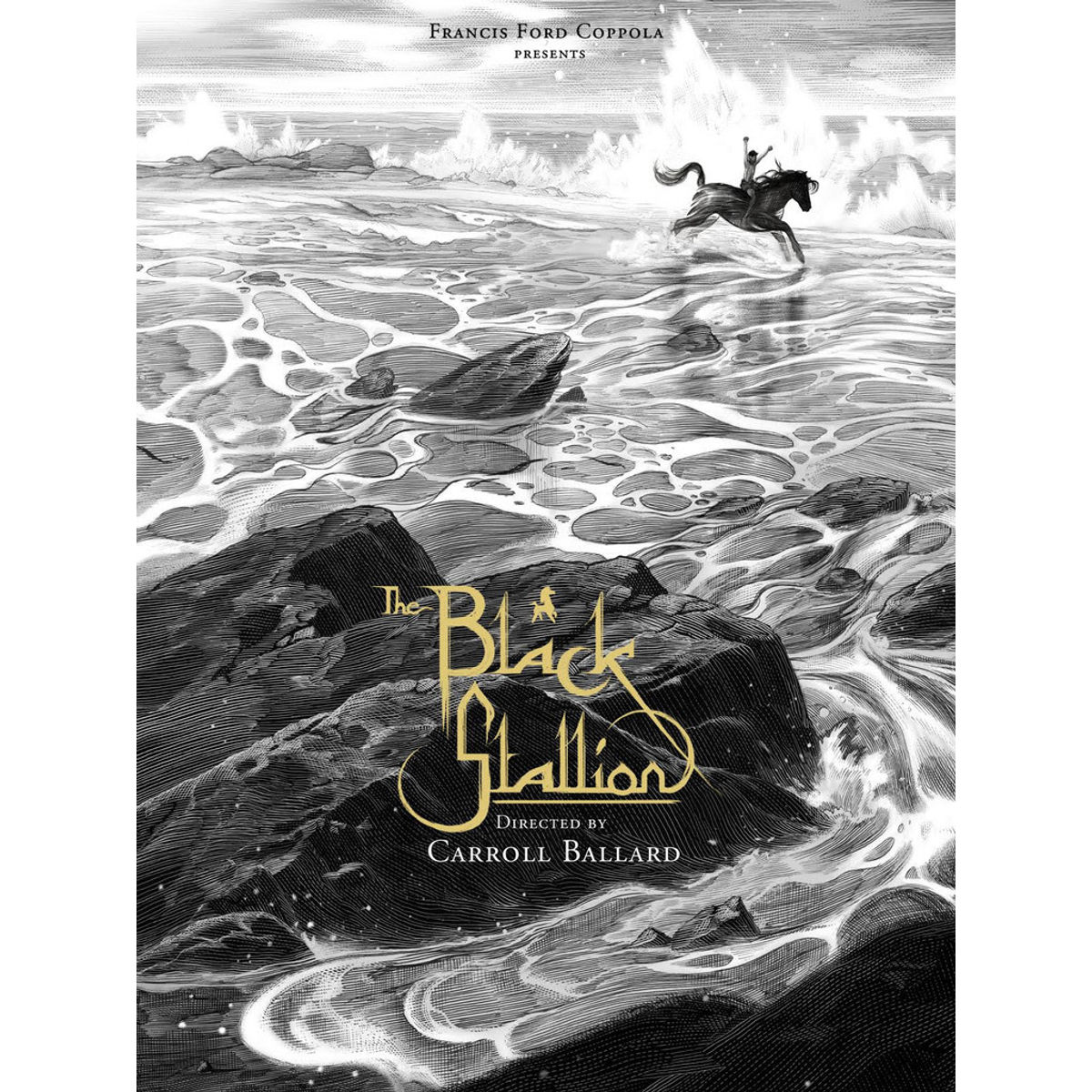 The Black Stallion