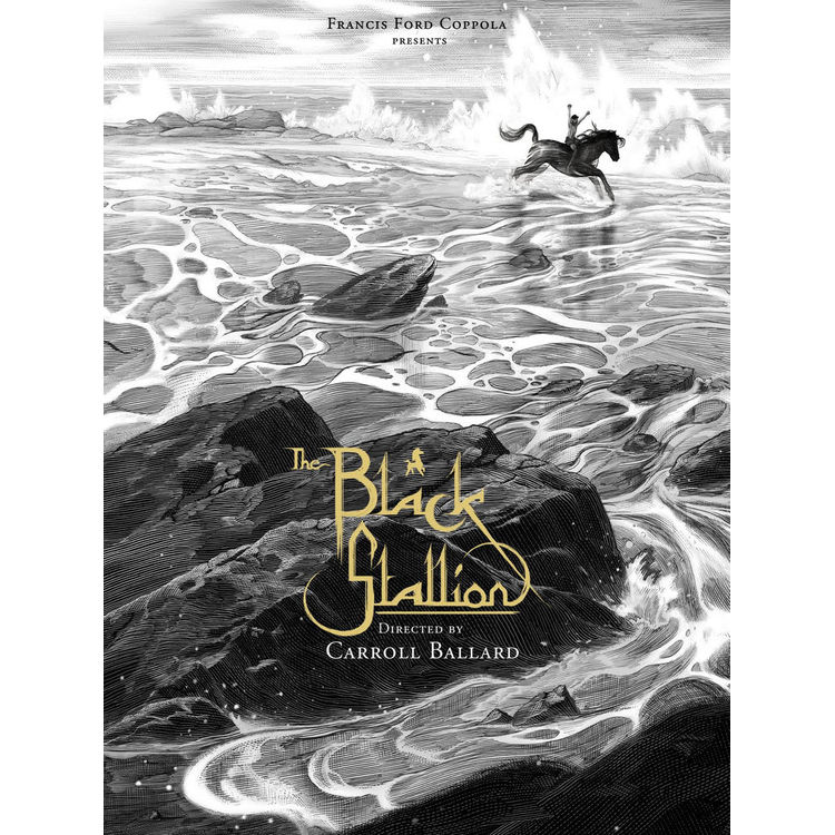 The Black Stallion by Nicolas Delort