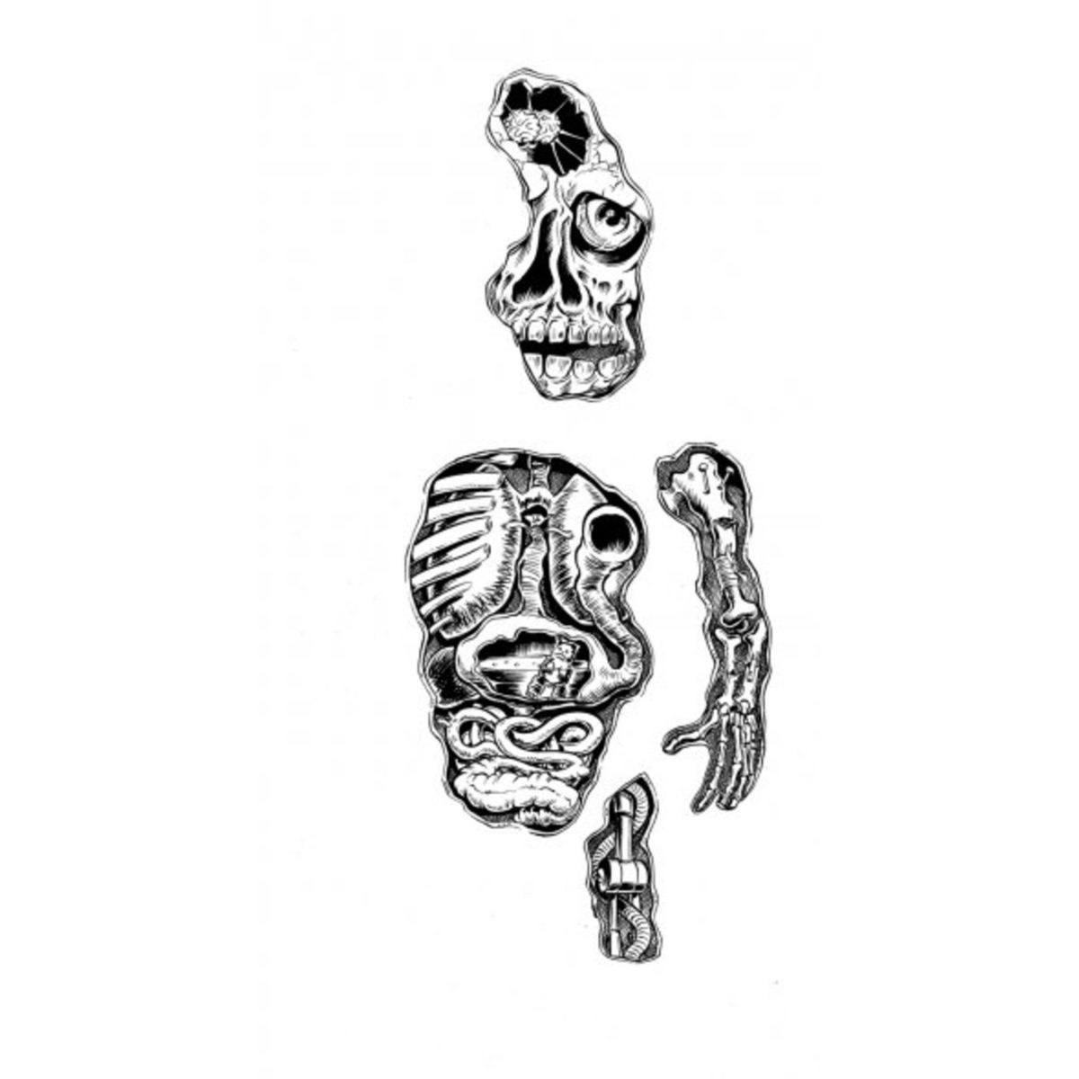 Dissected Caveman Drawing