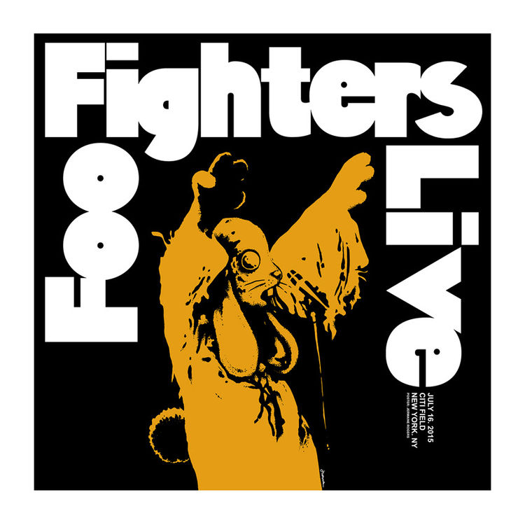 FOO FIGHTERS (NYC) by Jermaine Rogers
