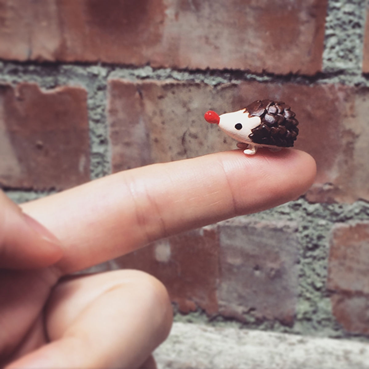 [ mini ] Acorn Jr. - original