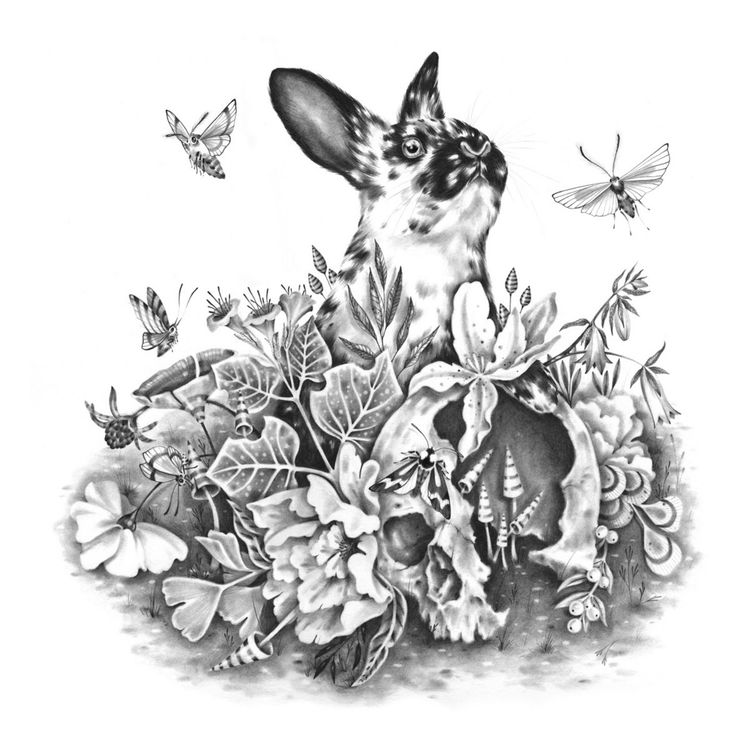 THE SLOUCHING OF GRACE by NICOMI NIX TURNER