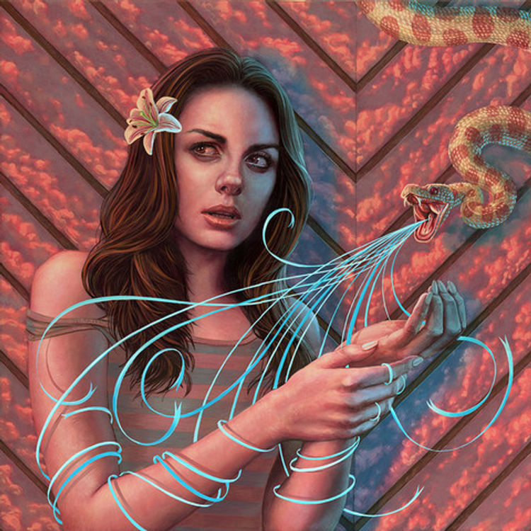 Snakehold by Casey Weldon