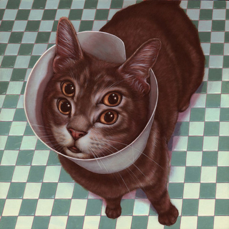 Bento by Casey Weldon