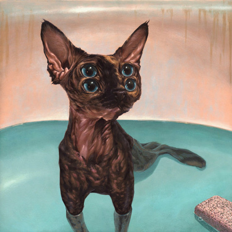 Lumi by Casey Weldon