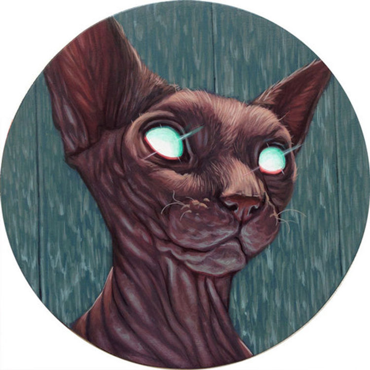 Bright Eyes 1 by Casey Weldon