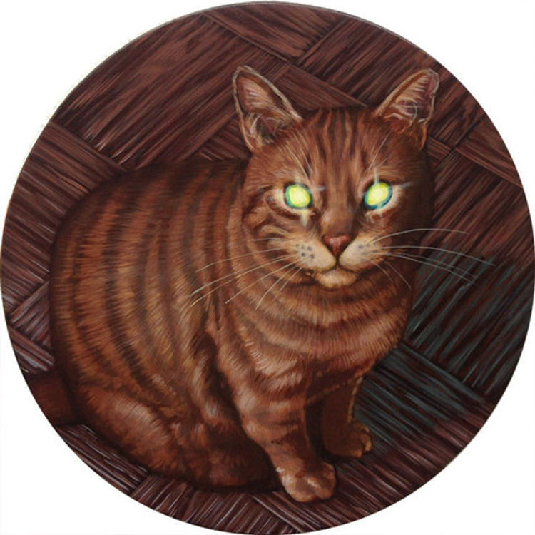 Bright Eyes 3 by Casey Weldon