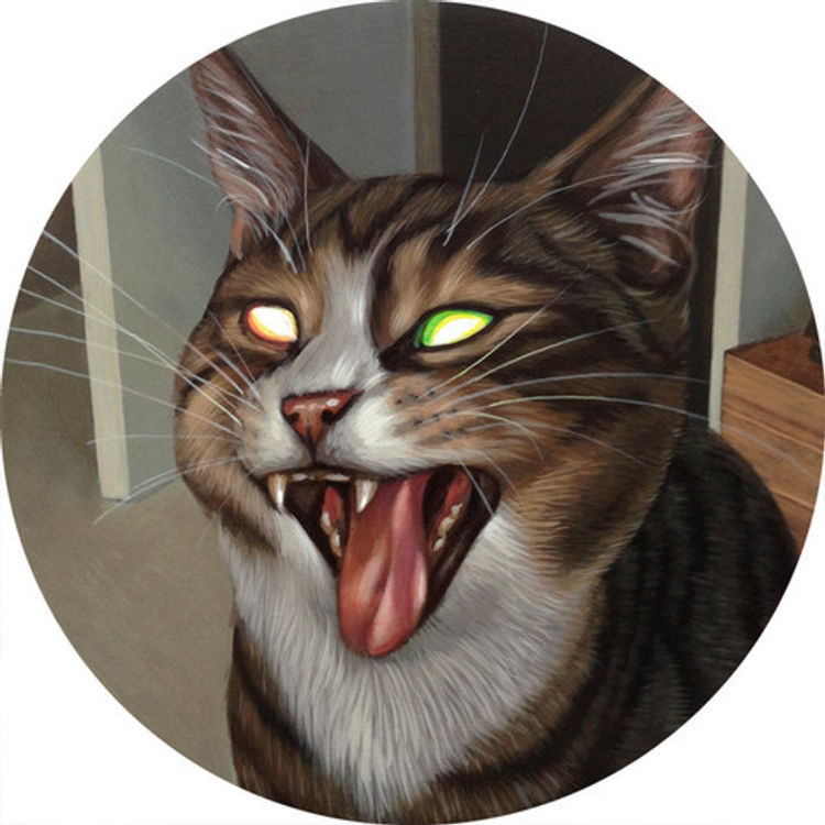 Bright Eyes 4 by Casey Weldon