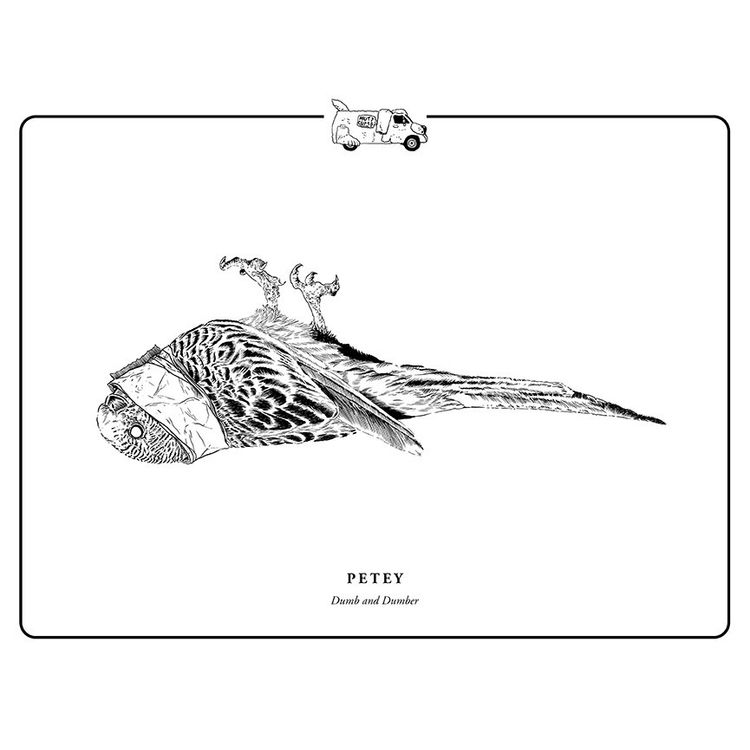 Petey by Evanimal (Evan Yarbrough)
