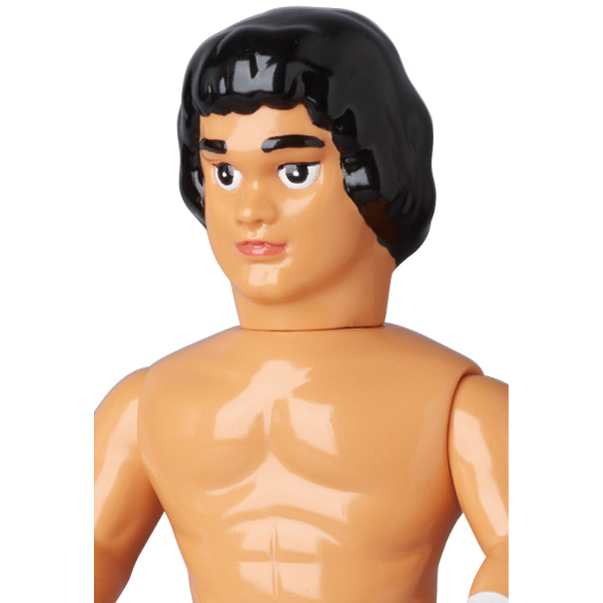 Genichiro Tenryu (Tenryu Revolution version)