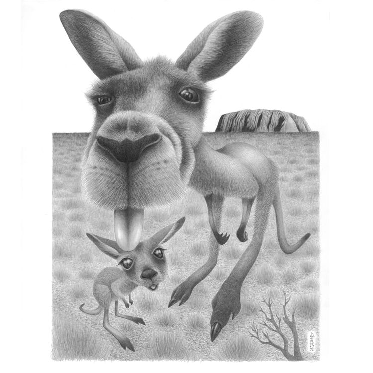 KANGAROO by Mindmata Creations