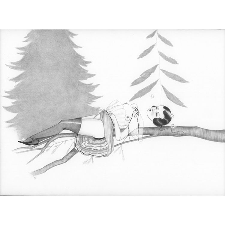 Memory of Fir by Amy Earles