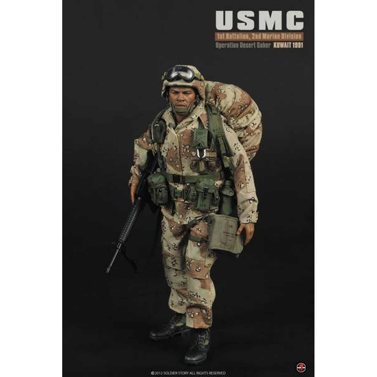 USMC 1st Battalion 2nd Marine Division Operation Desert Saber - SS-071
