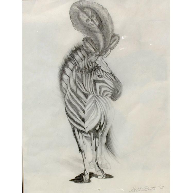 Zebra Sketch by Leslie Ditto