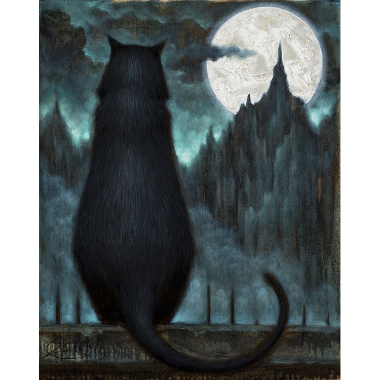 A Black Cat by Chet Zar