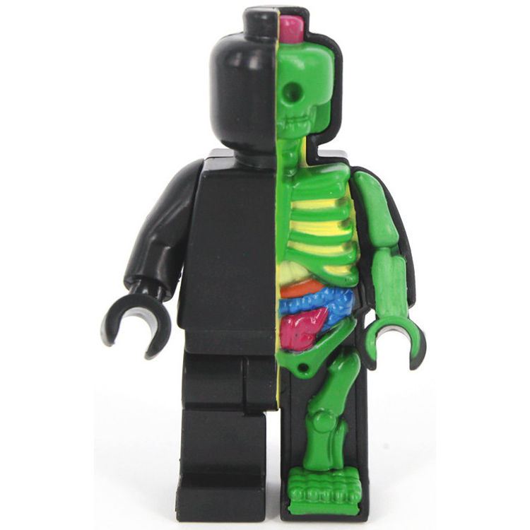 Micro Anatomic - Green/Black by Jason Freeny