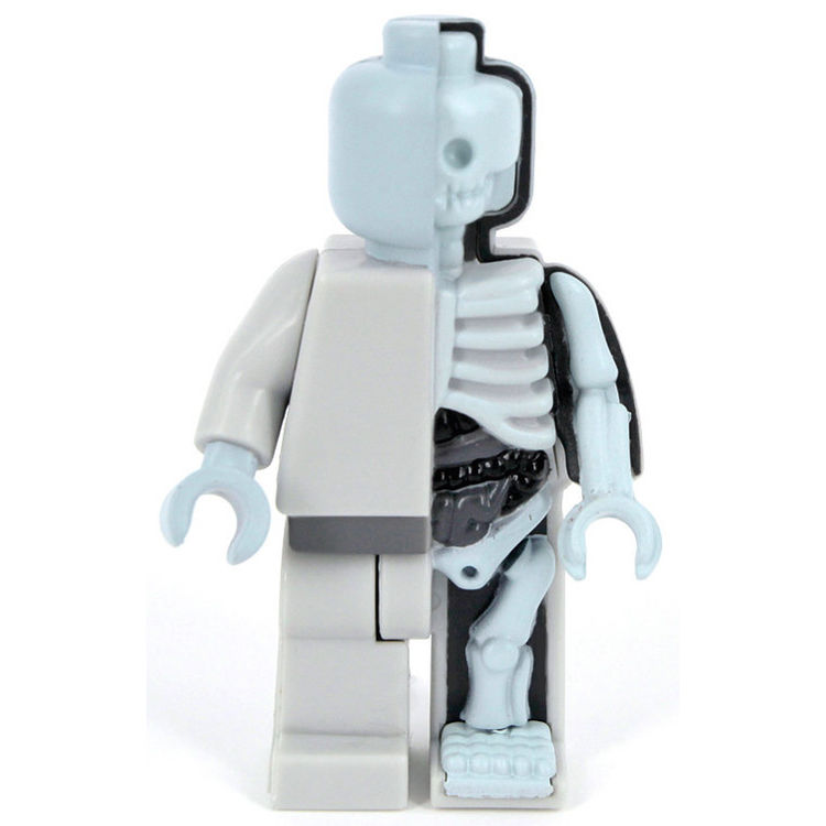 Micro Anatomic - Mono by Jason Freeny