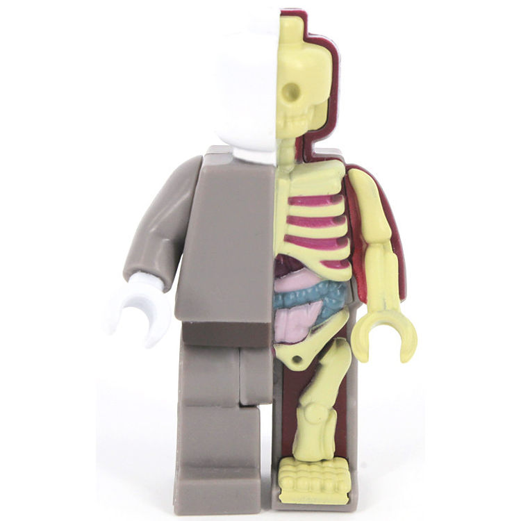Micro Anatomic - OG by Jason Freeny