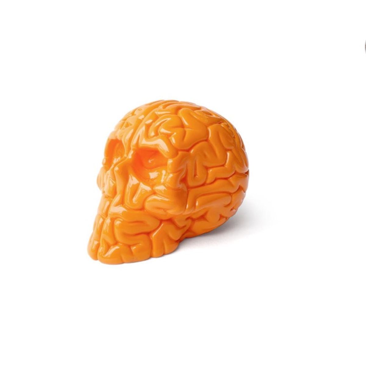 Mini Skull Brain Orange Edition